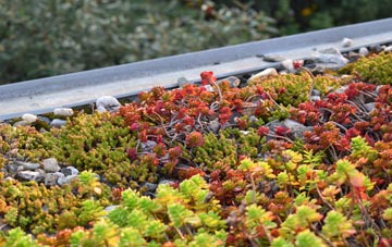 the cost of Wilcott green roof installation
