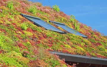 Wilcott living roof systems
