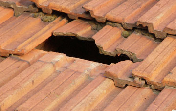 roof repair Wilcott, Shropshire